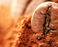 COLOMBIAN SUPREMO COFFEE BEANS ROASTED MEDIUM 5 POUNDS