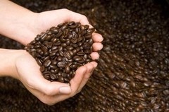 100% JAMAICAN BLUE MOUNTAIN & KONA COFFEE BEANS MEDIUM ROASTED 1 POUND EACH