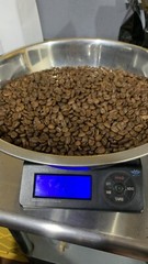 Elephant Spirit Coffee Roasters, Arabica Coffee, Guatemalan Coffee, Medium Roast