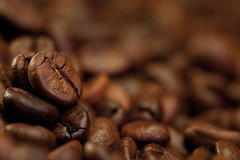 2025 Coffee Beans 1/2 LB of Mountain Select Fresh Roasted Gourmet Coffee