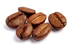 GOURMET COFFEE 1 lb – Fresh Roasted Daily – Whole Bean FREE SHIPPING 16 ozs