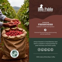 2LB Cafe Don Pablo Gourmet Coffee Signature Blend – Medium-Dark Roast Coffee…