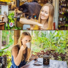 Cafe Granell Luwak Coffee – Family-Owned Quality Since 1940