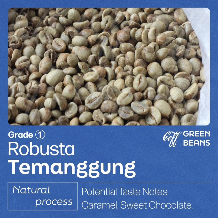 BEST NEW! Robusta Green Beans Temanggung Grade 1 Natural – 1kg Raw Coffee Beans
