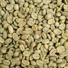 Panama Geisha Coffee – Natural Process – 8oz – WholeBeans – 巴拿马瑰夏咖啡