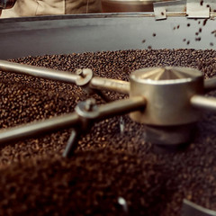 CO2 Dark Roast Whole Bean Coffee, 5 lb Bag – Rich & Bold Flavor