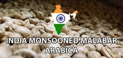 5 LB INDIA MONSOON MALABAR MONSOONED UNROASTED GREEN COFFEE BEANS – ARABICA