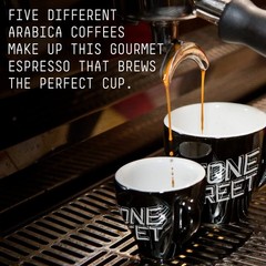 Knee Buckling Espresso Beans, High Caffeine Coffee Blend, Dark Roast, Whole B…