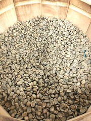 100 Percent Grade 1 Jamaica Blue Mountain Unroasted Green Coffee Beans Bulk