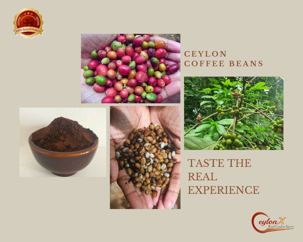 Organic 100% unroasted Coffee Beans / Powder from Ceylon/ Natural Harvested