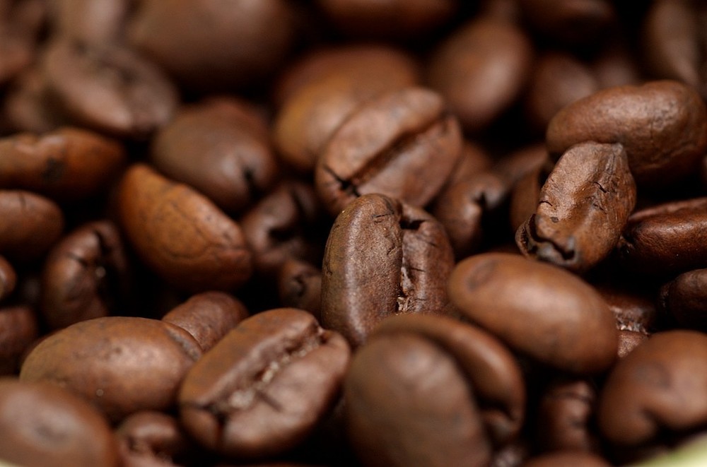 2026 Brazilian Santos Bourbon – Fresh Roasted Coffee – 1 Bag – Whole Bean