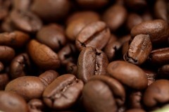 2026 Brazilian Santos Bourbon – Fresh Roasted Coffee – 1 Bag – Whole Bean