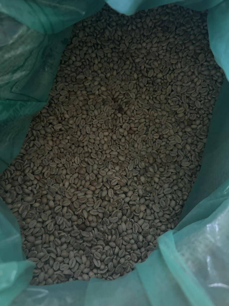 25 LBS Green Vietnam Robusta Coffee
