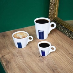 Lavazza Crema E Gusto Ground Coffee Medium Roast Arabica And Robusta Blend 8.8