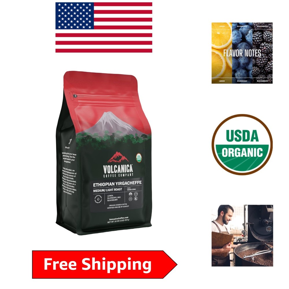 Ethiopian Whole Bean Coffee – USDA Organic, Light Roast, 16oz, Kosher Certified
