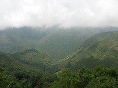 GUATEMALAN HUEHUETENANGO COFFEE BEANS DARK ROASTED 2 POUNDS