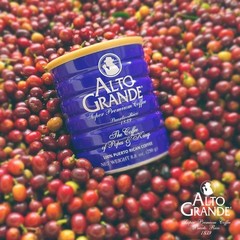 Alto Grande Coffee 100 Arabica Super Premium 8.8 Ounce Pack of 4 Blue Cans