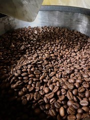 BEST NEW! Arabica Gayo Green Bean Semi Wash – Aceh Tengah Raw Coffee Beans 5kg