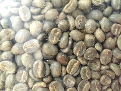 5 lbs Green Coffee – Nicaragua Jinotega green coffee – chocolate, floral, berry