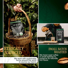 Mocha Java Medium Roast Whole Bean Coffee – 5lb Bag by The Bean Organic