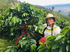 SINGLE ESTATE – COLOMBIAN GREEN COFFEE BEANS – 1 LB CATURRA, ARABICA
