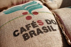 2, 5, 10 lb Brazil Decaf Fresh Roasted Coffee Whole Bean or Ground