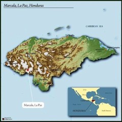 Honduras Comsa Marcala Shadegrown & Fair-trade Organic