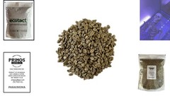 10 Lb Single Origin Unroasted Green Coffee Beans – Specialty Nicaraguan Arabica