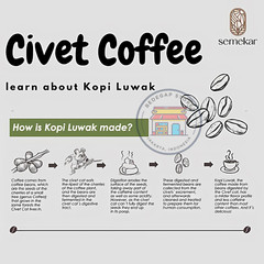 Premium Luwak Coffee 100% Wild Civet Coffee Roasted Christmas Holiday Gift 7 Oz
