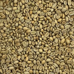3lbs Ethiopia Green Unroasted Coffee Beans – Yirgacheffe “G2”