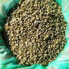 Kona Coffee | Extra Fancy Grade | 1 lb Bag | Medium Roast, Dark or Green Beans