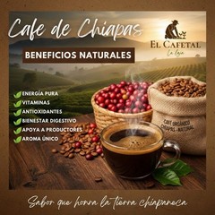 El Cafetal La Laja Café Chiapaneco Organic Coffee Beans 250g Medium Dark Roast
