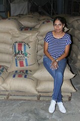 PAPUA NEW GUINEA COFFEE BEANS PEABERRY MEDIUM ROASTED 2 POUNDS