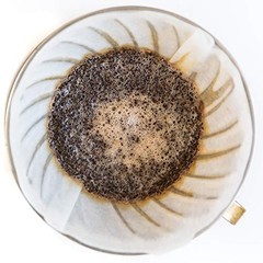 El Salvador Medium Roast 2.5lb – Flavor Notes of Honey Tangerine & Chocolate …