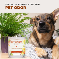 Pet House Fall Candles, Long Lasting, Clean Burning, Soy Wax Scented Candles for