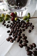 Hawaiian Queen Coffee – 100% Kona Coffee – Private Reserve Whole Beans Full City