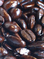 20 LBS Wards Deluxe House Blend- Whole Bean (Best Seller)