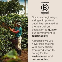 illy Arabica Selections Ethiopia Whole Bean 8.8 Ounce (Pack of 1), Etiopia