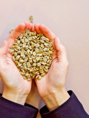 5 LBS GUATEMALAN QUETZAL BIRD FRESH UNROASTED GREEN COFFEE BEANS – ARABICA