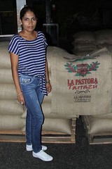 Costa Rican Tarrazu Coffee Beans Roasted Daily Medium 5 Pounds In 1 Pound Bags