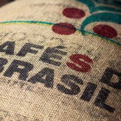 20 LBS Brazilian Santos Screen #16/17 Green Bean Coffee – New Crop