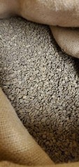 5 LB BRAZIL SWP SWISS WATER PROCESS UNROASTED GREEN COFFEE BEANS – ARABICA DECAF