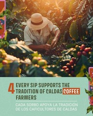 Ay Ombe Coffee SCA 86PTS Colombian Arabica whole bean and ground, medium roast