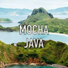 Mocha Java Coffee Beans Medium & Dark Roasted Daily 1 Pound Bags 5 Pounds