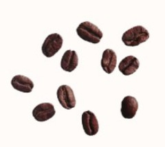 Brickhouse City Roast, Whole Bean Coffee, 5LB Bag