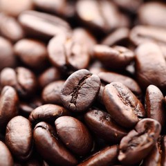 Zavida Hazelnut Vanilla Whole Bean Coffee, 2 LB