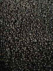 2, 5, 10 LB PAPUA NEW GUINEA FRESH ROASTED COFFEE WHOLE BEAN, GROUND – ARABICA