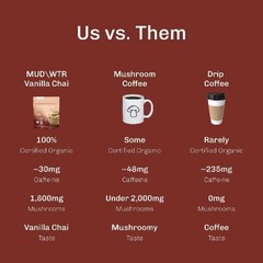 MUDWTR Organic Vanilla Chai Mushroom Coffee Alternative – 2.1oz