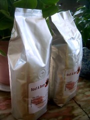 ORGANIC Haitian Blue Mountain Coffee Medium / Light Roast 10 Lbs