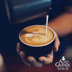 Alto Grande Premium Coffee Whole Bean – 2 Lbs (Pack of 1)
